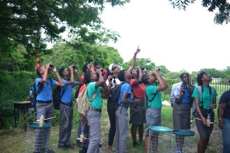 Group photo of people birdwatching. One person, in the middle of the group, is pointing up at a bird in a tree.