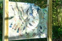 Damaged bird sign at Mt. Hartman National Park Visitor Centre., Grenada.