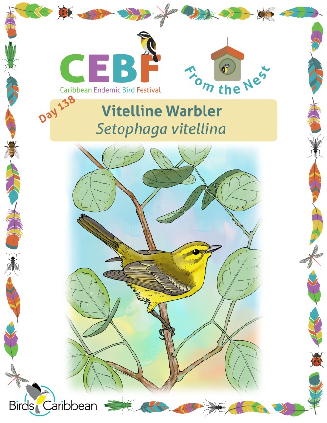 From the Nest – Day 138