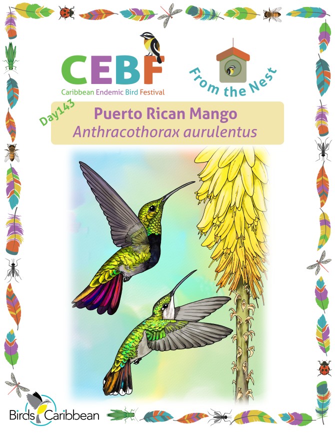 From the Nest – Day 143