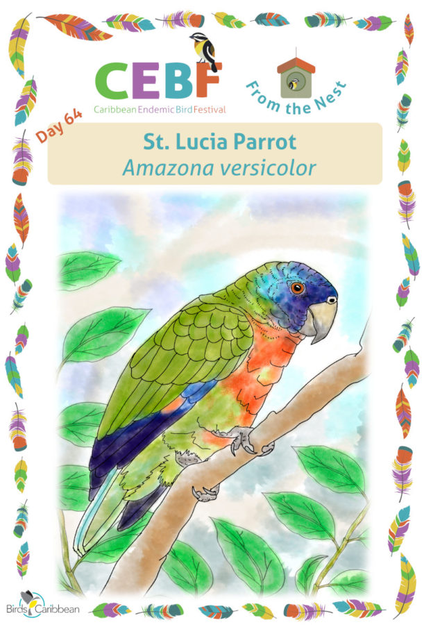 From the Nest – Day 64