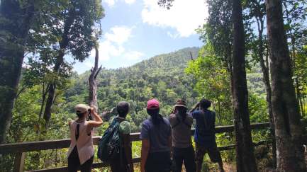 Group of five people at a lookout point in a forest, looking up at mountains.