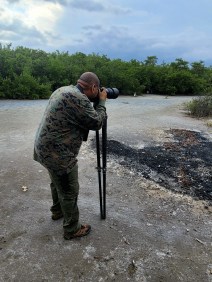 Birding at Hellshire Wetlands, Jamaica.