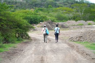 Habitat destruction at Mt. Hartman.