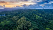 Tobago's Main Ridge Forest Reserve is the oldest legally protected forest reserve in the Western Hemisphere. (Photo by BBC Wildlife Magazine)