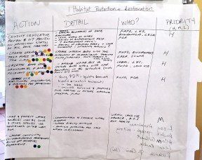 Proposed action for restoring Grenada Dove habitat. (Photo by Zoya Buckmire)