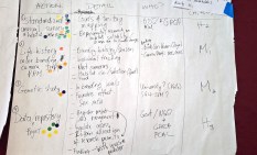 Proposed actions for Research and Monitoring. (Photo by Zoya Buckmire)