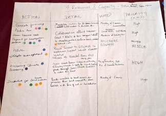 Actions to find the resources and capacity to carry out the work in the CAP.