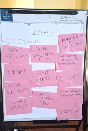 Top priority threats to the survival of Grenada Dove. (Photo by Gaea Conservation)