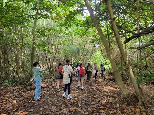 Photo of group of people walking along a forest trail.