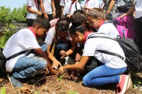 Photo of group of students planting a tree. They are kneeling down in a semi circle around the plant.