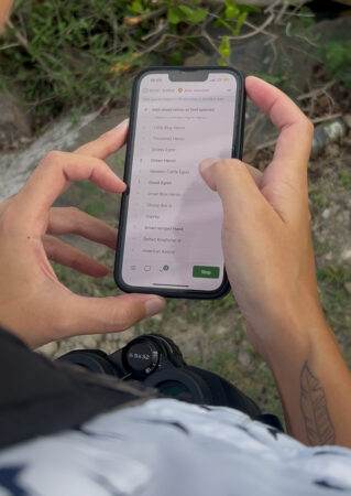 Image of a person using their phone to make a bird list in eBird