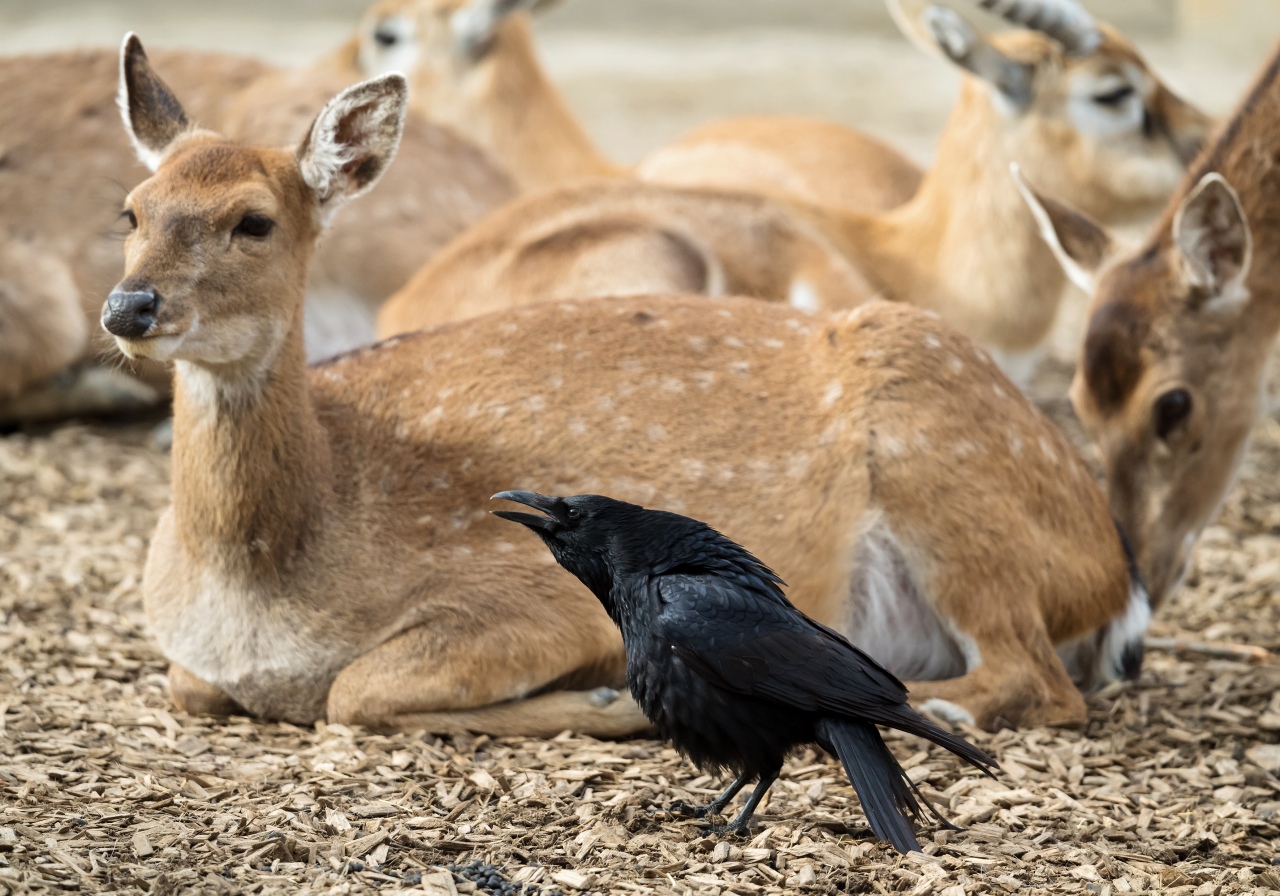 Die Zoos öffnen am 15. Mai!